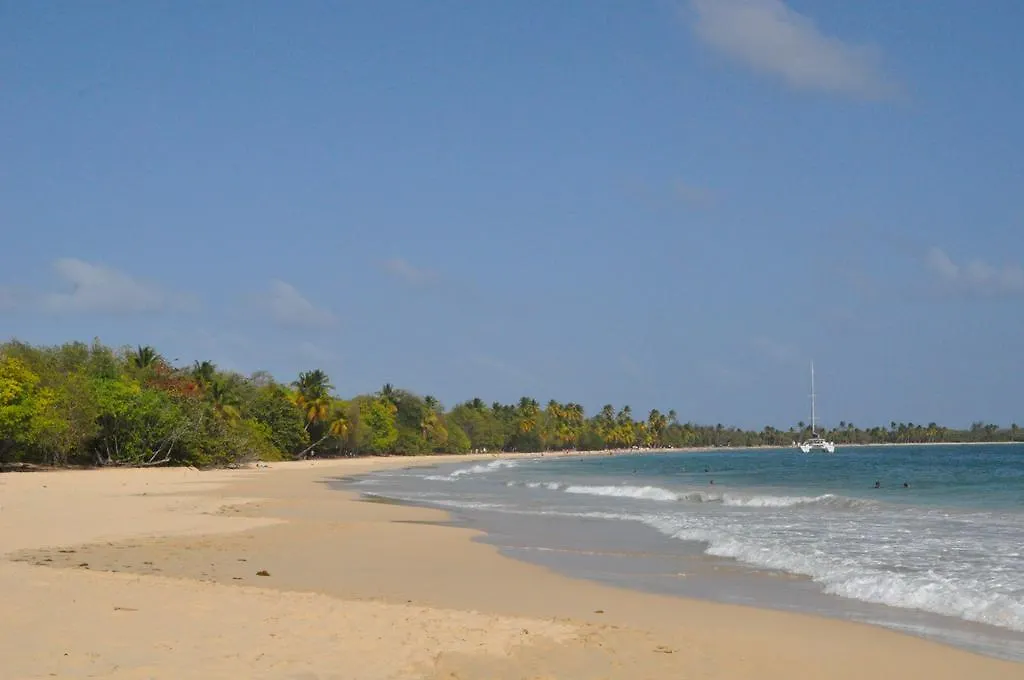 les hauts de caritan Sainte-Anne Martinique